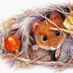 В ранковий час осінньої пори