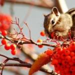 Спати справді час