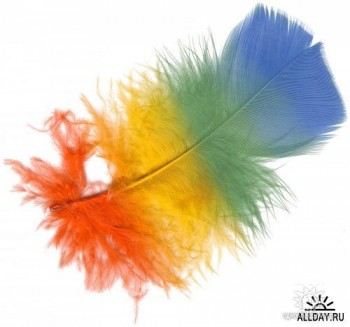 Незнайомі фарби