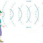 Дивовижне відлуння