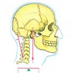 Важелі в живій природі