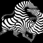 Оптичне мистецтво «Оп-арт» як синтез науки і мистецтва