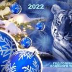 На карнавале МАСОК. ГОЛУБОЙ ТИГР