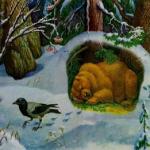 Заснув ведмідь