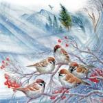 Горобці на калині