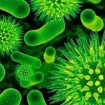 Дія електричного струму на клітини рослин та інших живих істот