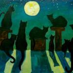 Чому вночі ми майже не розрізняємо кольори