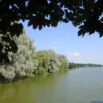 Привітання з днем народження