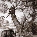 Подорожні та ведмідь