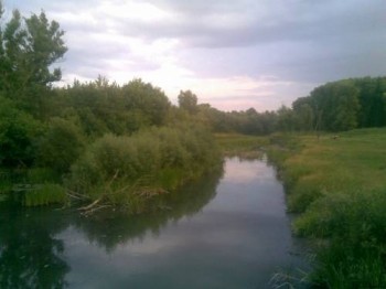 Ранкова річенька