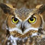 Загадки для дітей