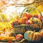 ОСІННІ КЛОПОТИ