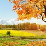 ЗОЛОТА СЕРЕДИНА ОСЕНІ