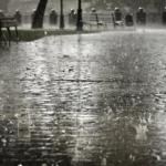 Перший весняний дощ