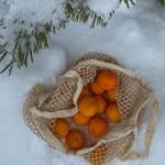 Запах «перший апельсин»