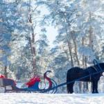 ЗИМОВА ПРОГУЛЯНКА