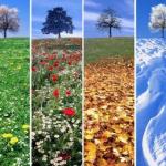 Дванадцять місяців