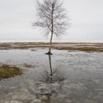 СТОМИВСЯ ЛЮТИЙ