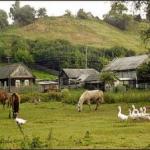 ВЕСНЯНИЙ РАНОК У СЕЛІ