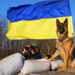 Щоденник чотирилапого бійця