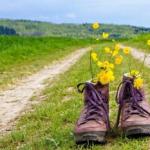 Кінець весни