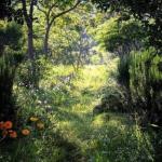 Щаслива мить