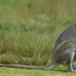 Загадки для дітей 2