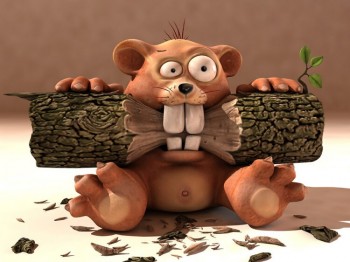 Боброві боби