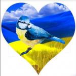 Маленька синичка від вибуху хвилі...