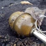 Цариця полів