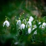 Без тисяч слів