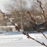 Чому лютуєш, мила Зимо?