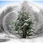 Прохання до вітру