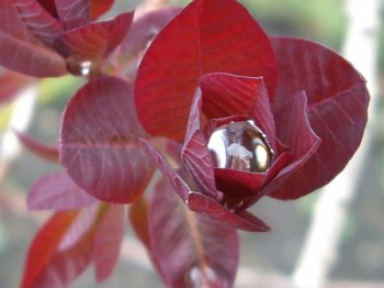 Просто рими, ритми і почуття...