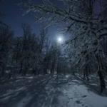 Хміль і кохання