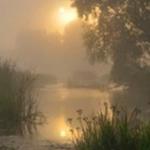 Ранкове качине полювання