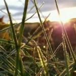 Дочекайся мене