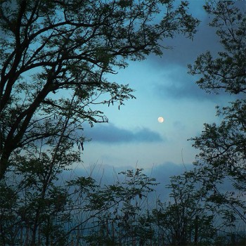 Вечірня казка