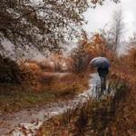 Осінній менует