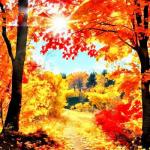 Осінні багаття