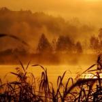 Мисливський реквієм