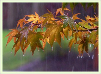 Мокра замальовка