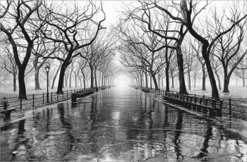 Дожди бьют рекорды