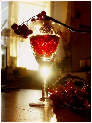 Горобина на коньяку