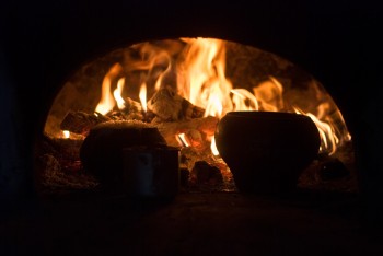 СКАРБИ ЖАР ПТИЦІ