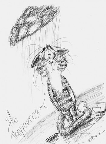 По той бік прилавка