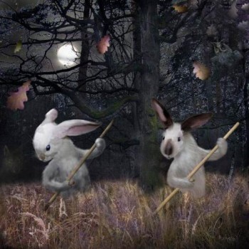 КОСЯТЬ ЗАЙЦІ ТРАВУ