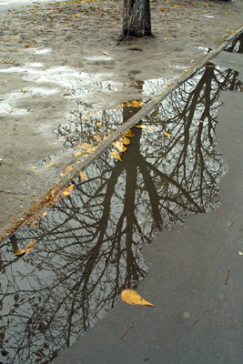 БЕЗНАДІЙНИЙ ЛИСТОПАД