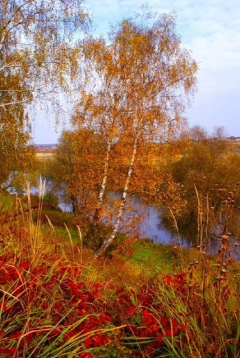 ПРИСТРАСТЬ