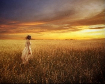 Звивистими доріжками